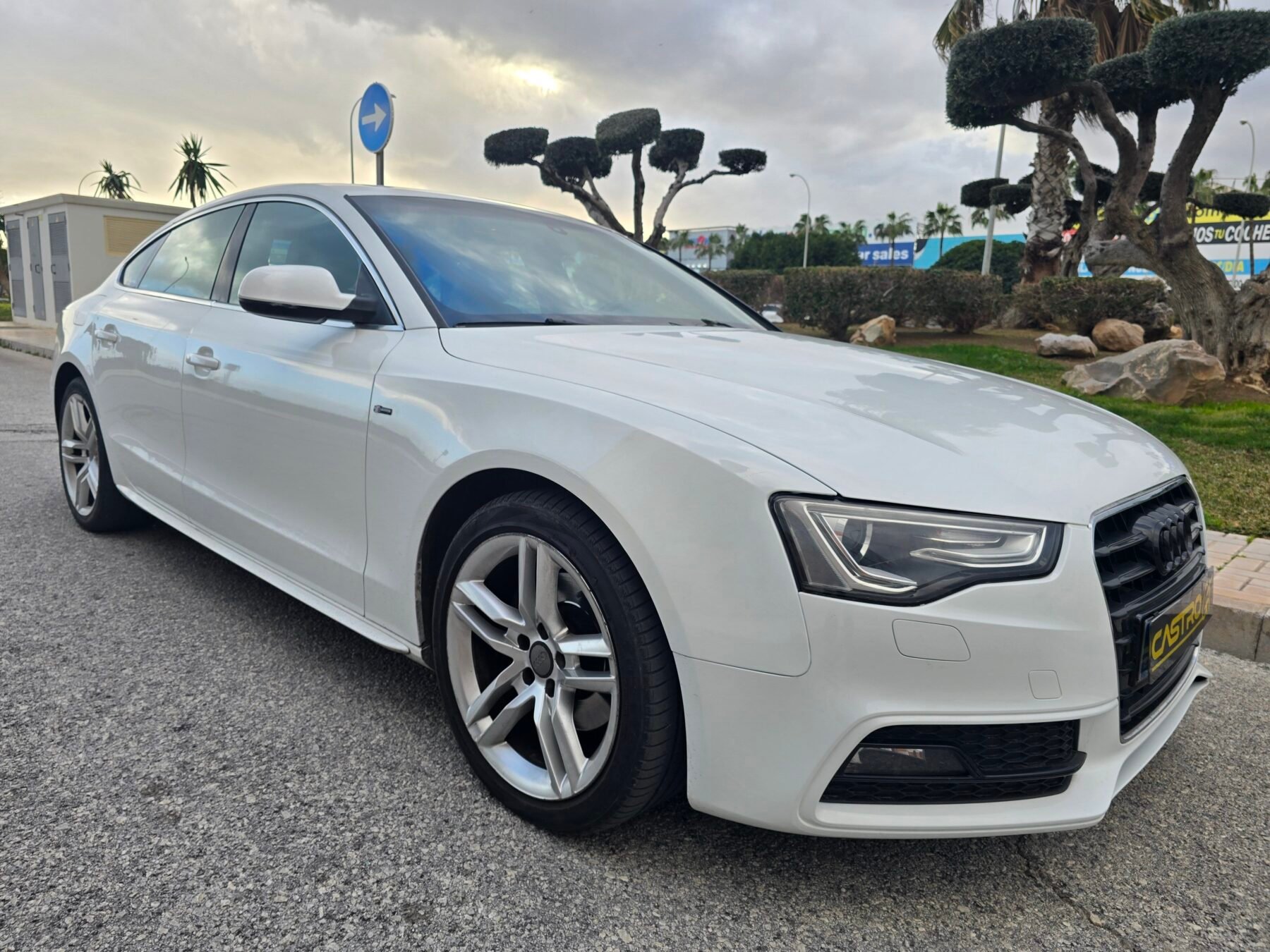 AUDI A5 SPORTBACK 2.0TDI S-LINE MULTITRONIC 177CV