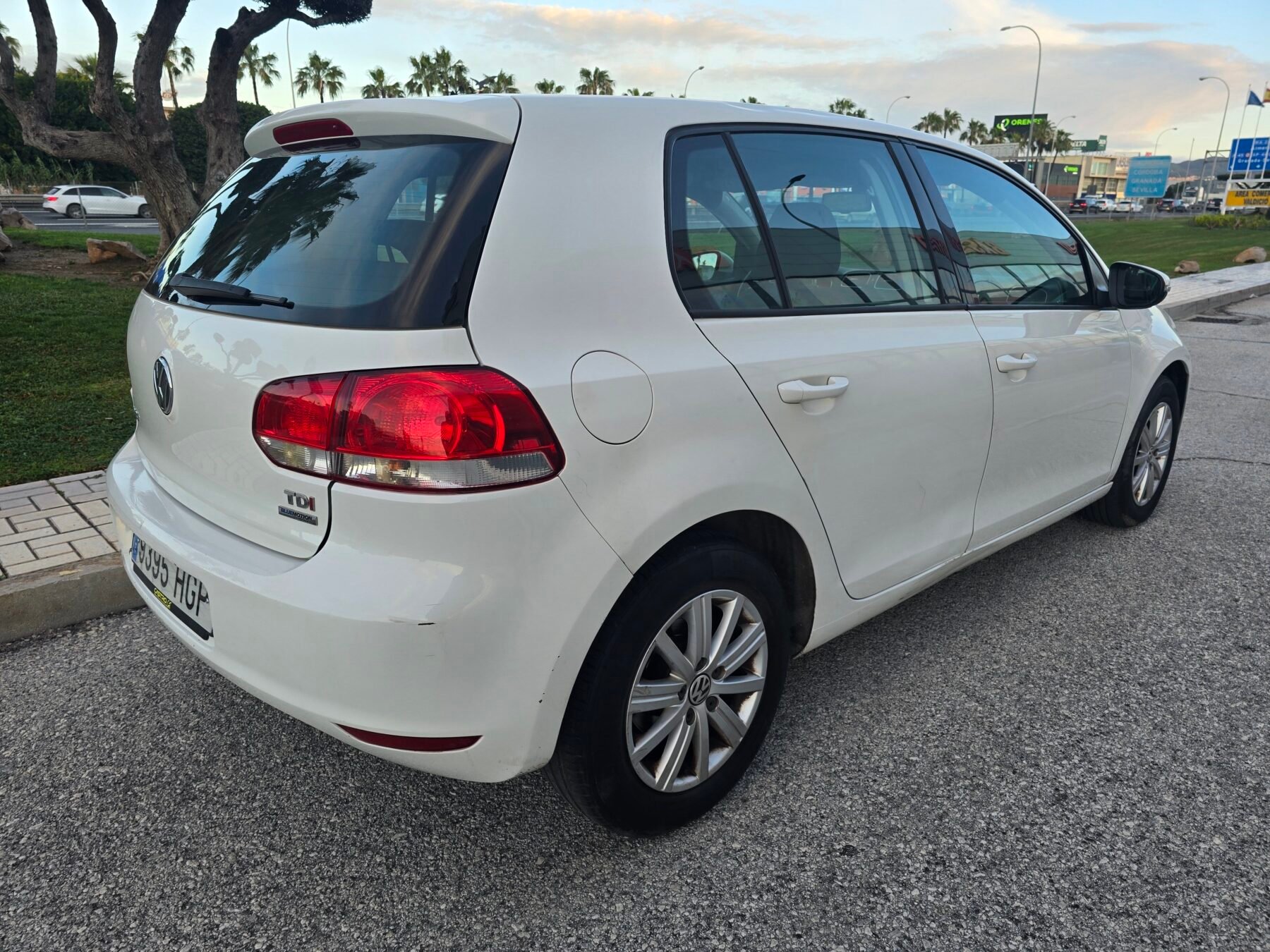 VOLKSWAGEN Golf 1.6TDI ADVANCE 105CV